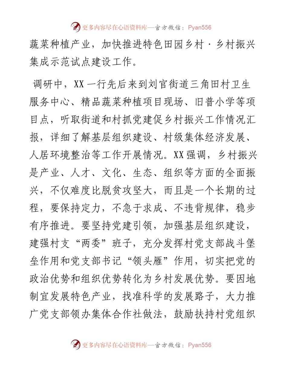 市委常委、组织部长到X市调研抓党建促乡村振兴工作​.docx_第2页