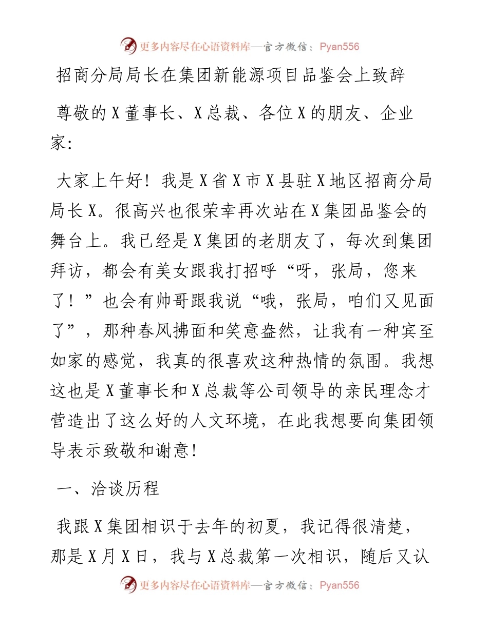 招商分局局长在集团新能源项目品鉴会上致辞.docx_第1页