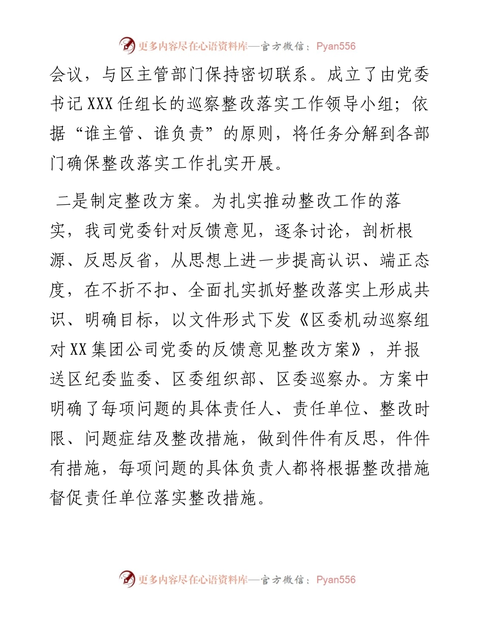 市国企公司党委关于巡察整改进展情况的报告.docx_第2页
