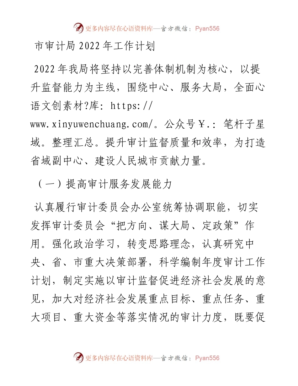 市审计局202X年工作计划.docx_第1页