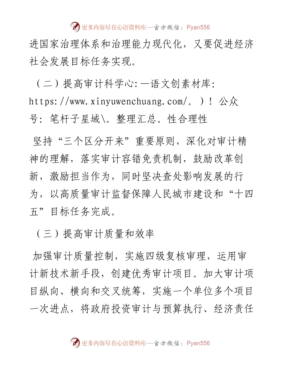 市审计局202X年工作计划.docx_第2页
