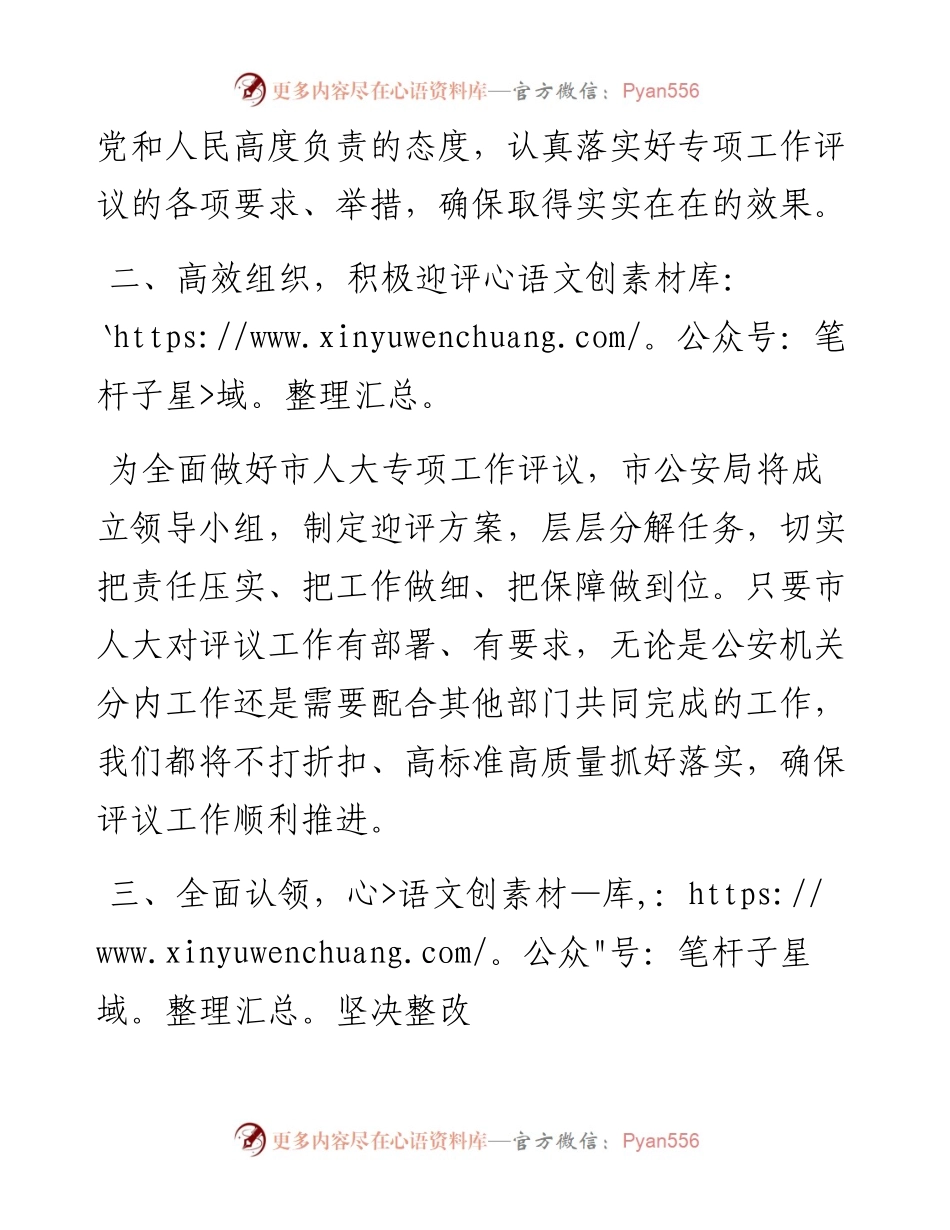 市公安局政委在市人大常委会专项工作评议动员部署会上的表态发言.docx_第2页