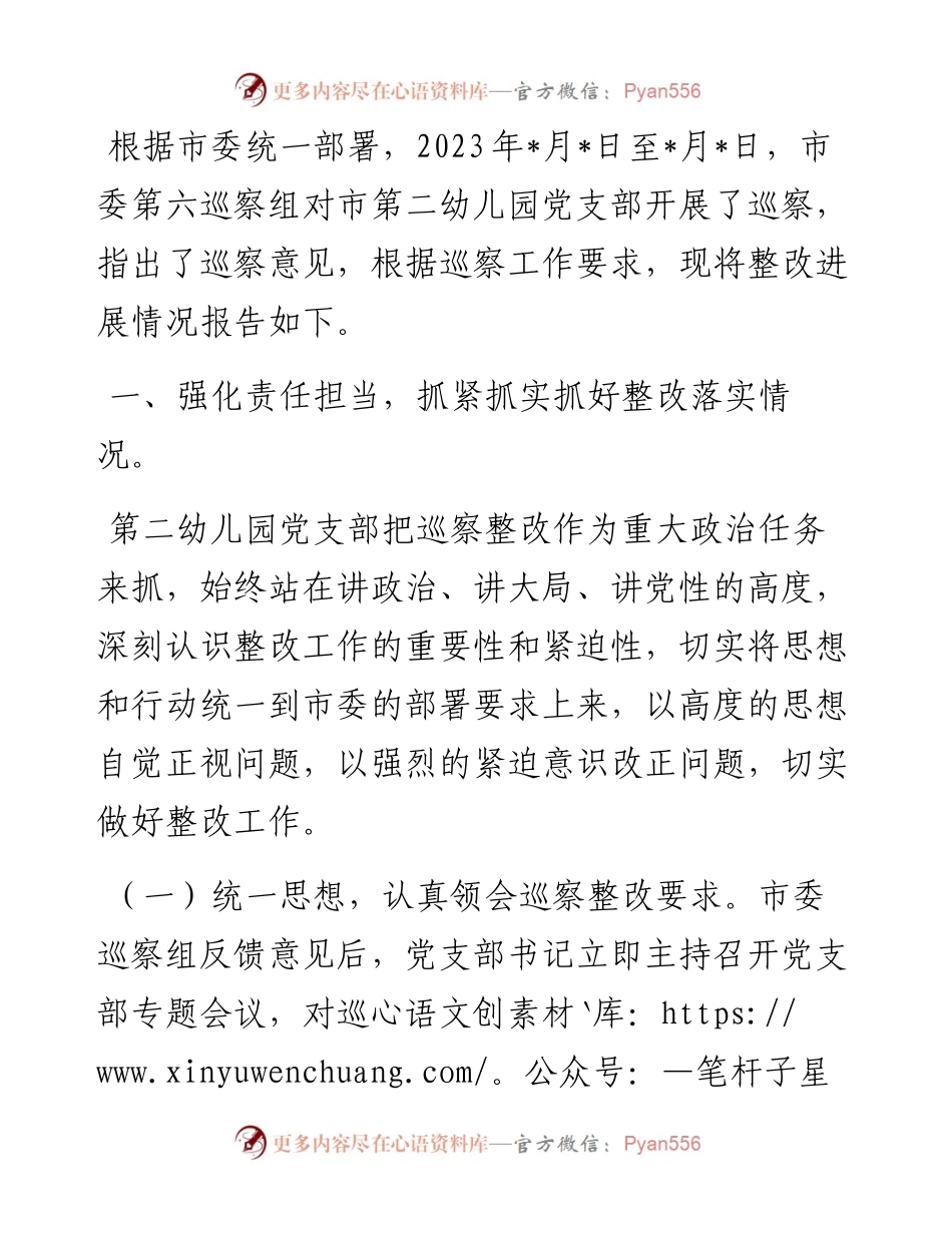 市幼儿园党支部关于巡察整改进展情况的报告.docx_第1页