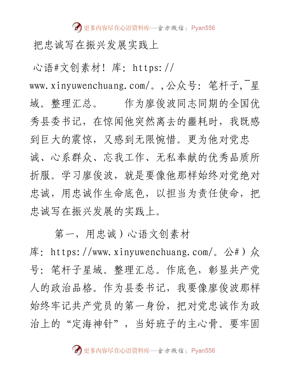 把忠诚写在振兴发展实践上.docx_第1页