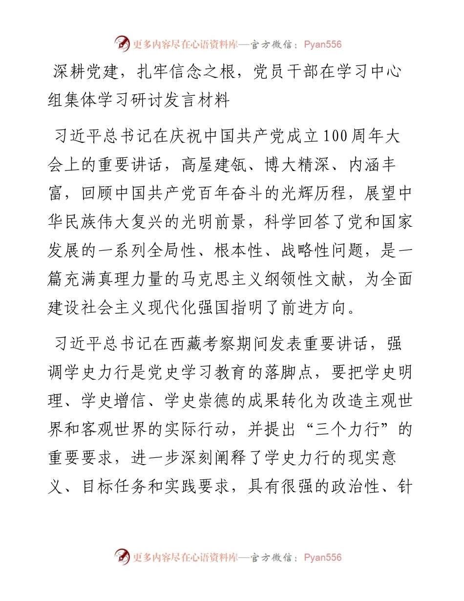 深耕党建，扎牢信念之根党员干部在学习中心组集体学习研讨发言材料.docx_第1页