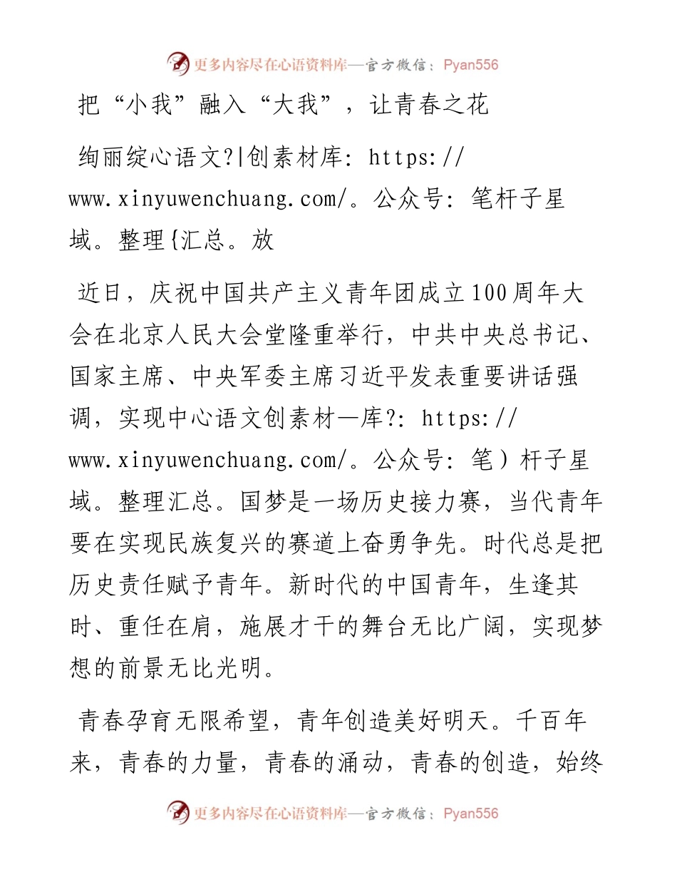研讨发言：把“小我”融入“大我”，让青春之花绚丽绽放.docx_第1页