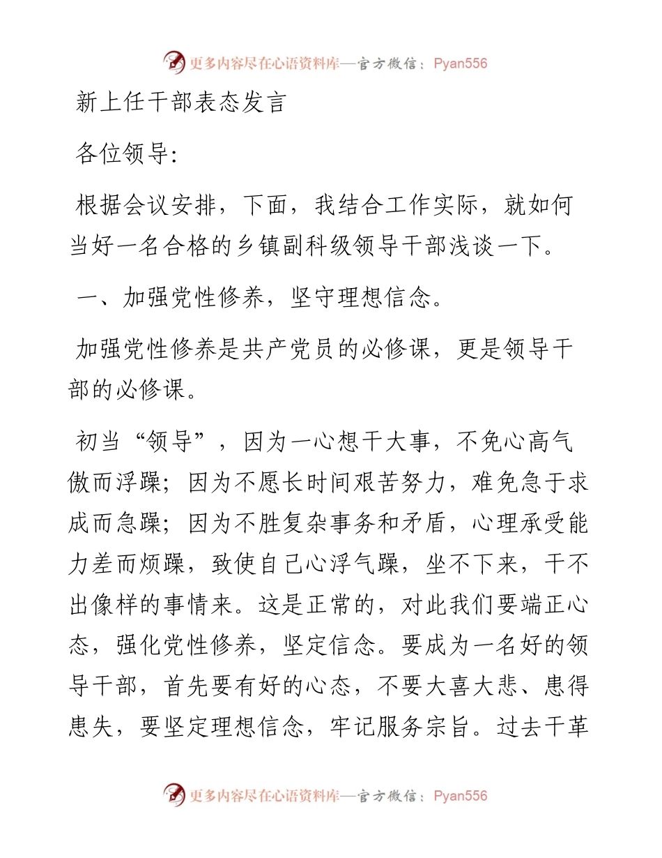 新上任干部表态发言（乡镇副职领导）.docx_第1页