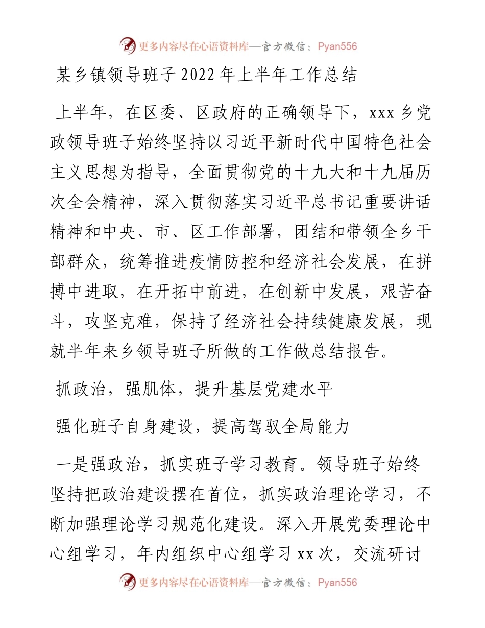 某乡镇领导班子上半年工作总结.docx_第1页