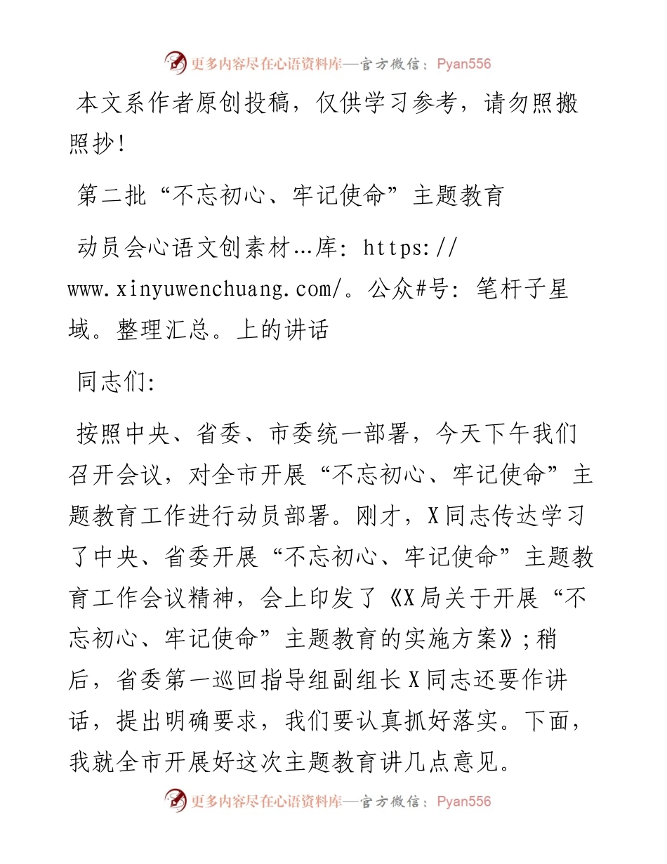 第二批不忘初心牢记使命主题教育动员会上的讲话.docx_第1页