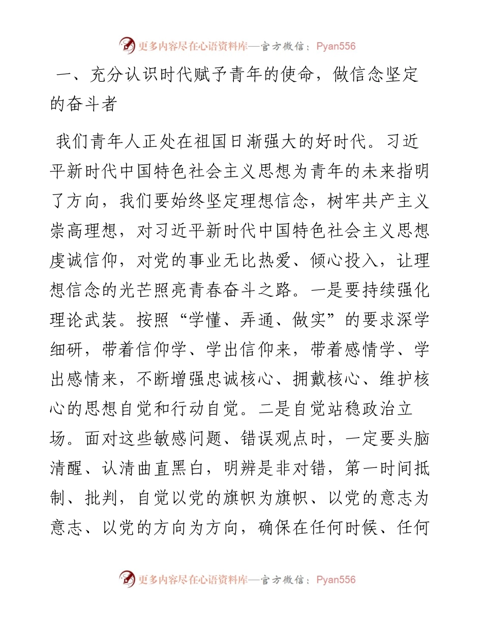 研讨发言：薪火相传 奋斗青春.docx_第2页