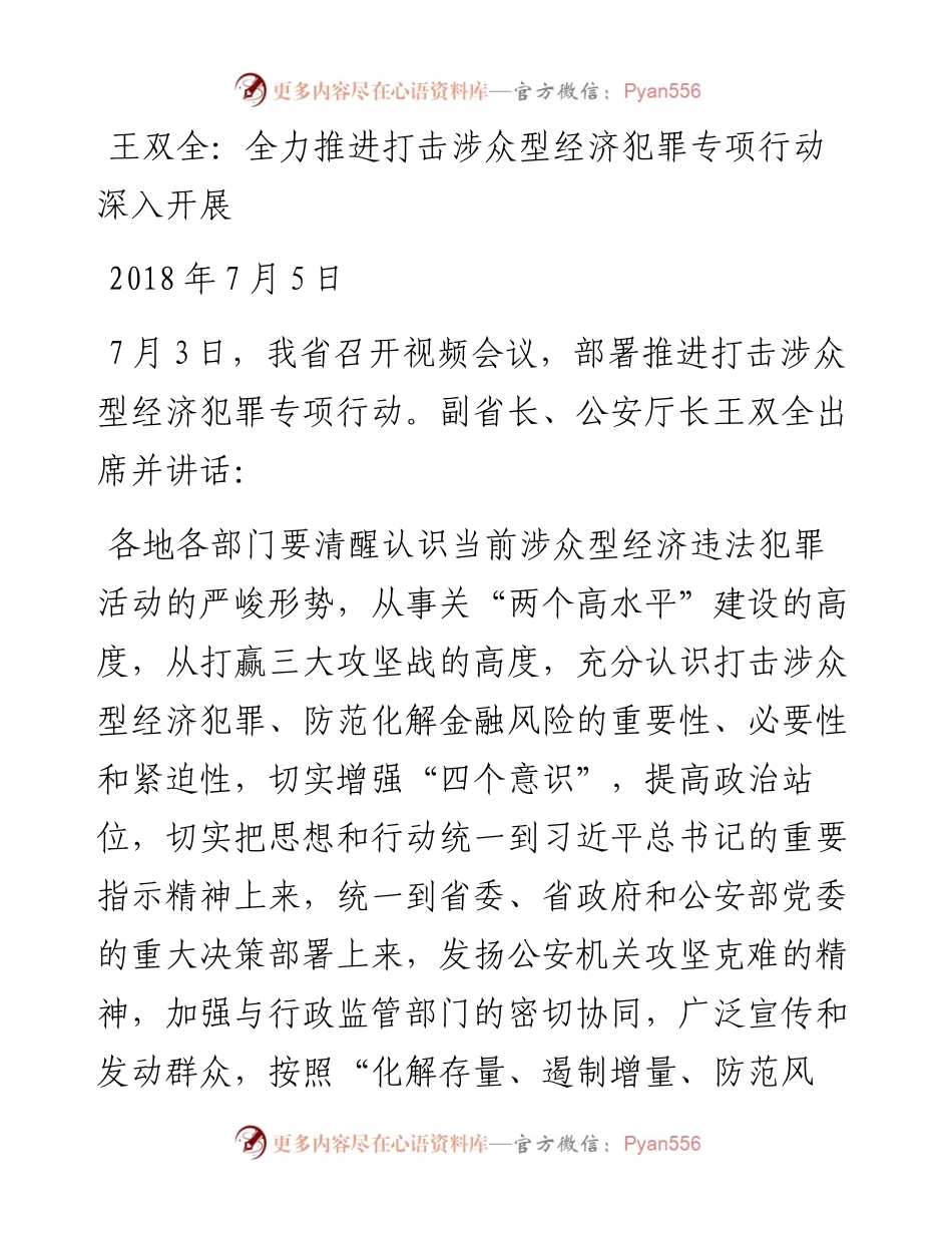 王双全：全力推进打击涉众型经济犯罪专项行动深入开展.docx_第1页