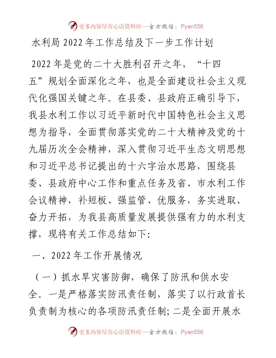 水利局工作总结及下一步工作计划.docx_第1页