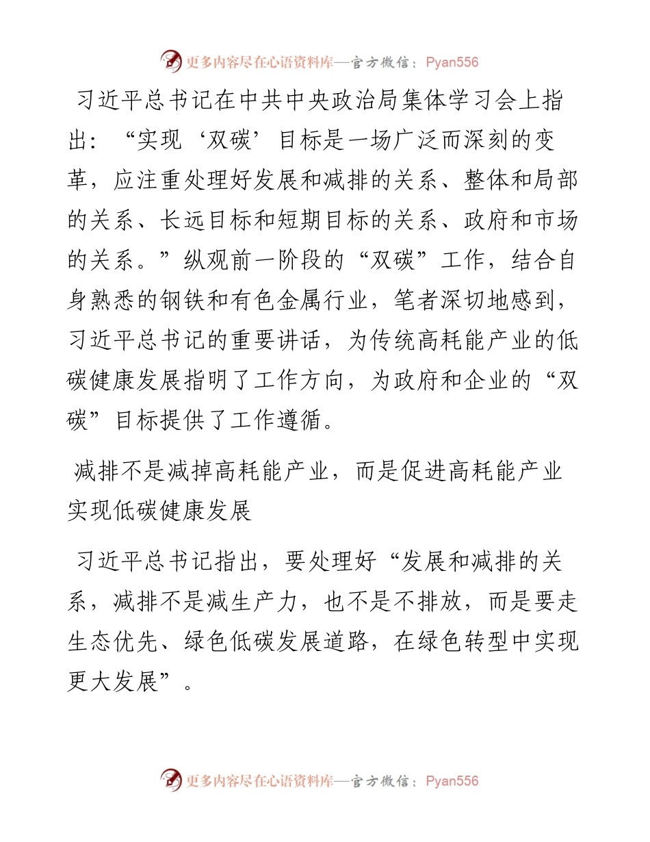 碳达峰碳中和主题研讨发言材料：高水平推进高耗能产业低碳健康发展.docx_第1页