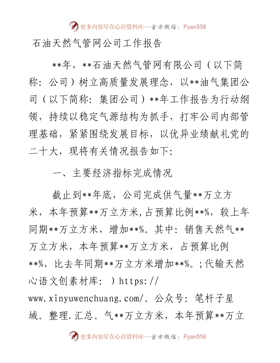 石油天然气管网公司工作报告.docx_第1页