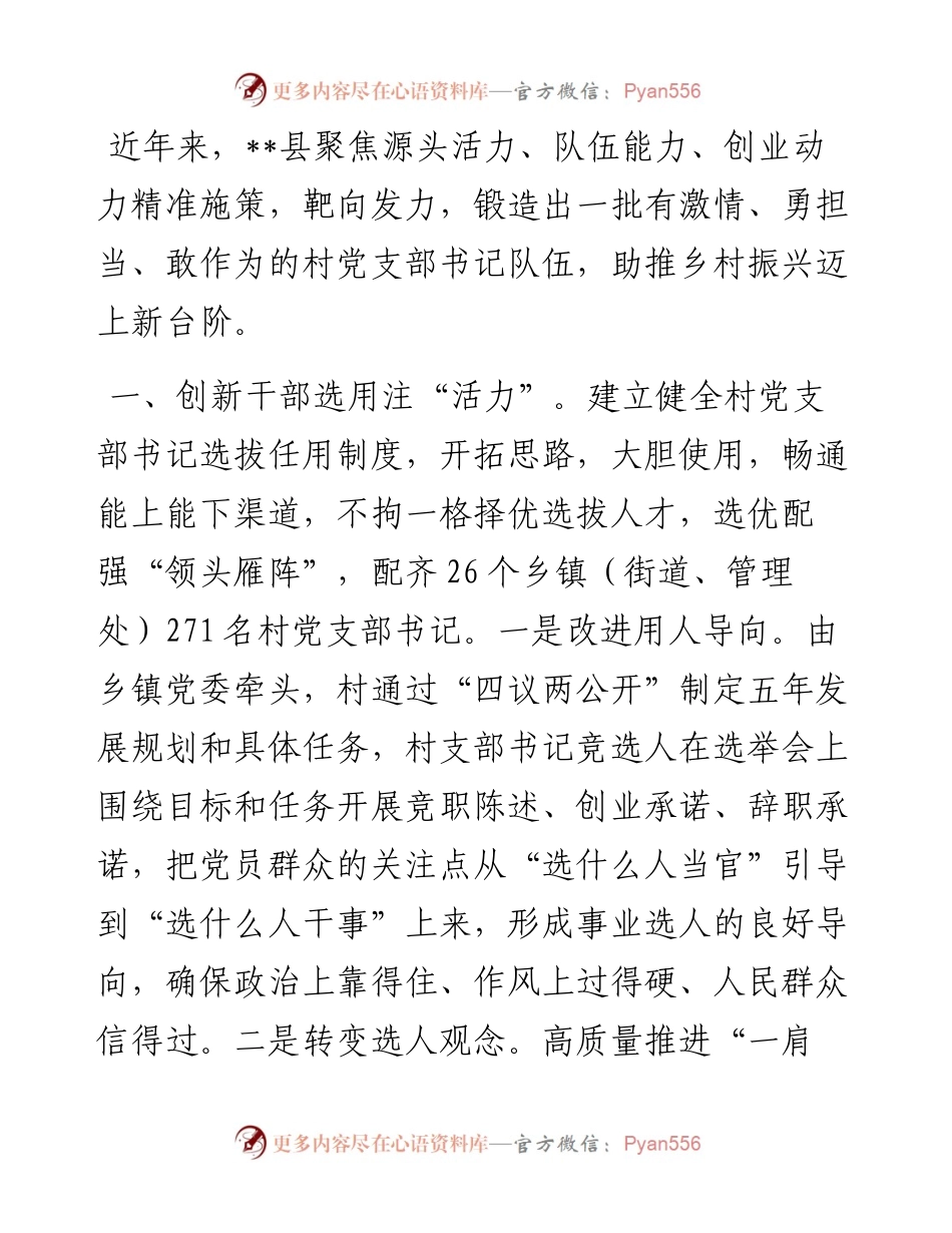 村党支部书记队伍建设工作汇报.docx_第1页