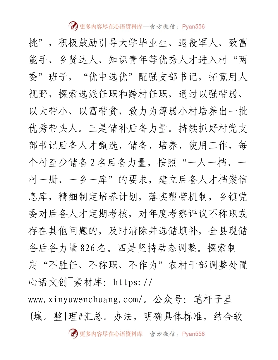 村党支部书记队伍建设工作汇报.docx_第2页