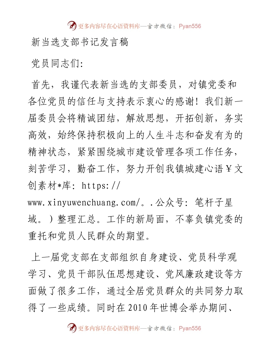 新当选支部书记发言稿.docx_第1页