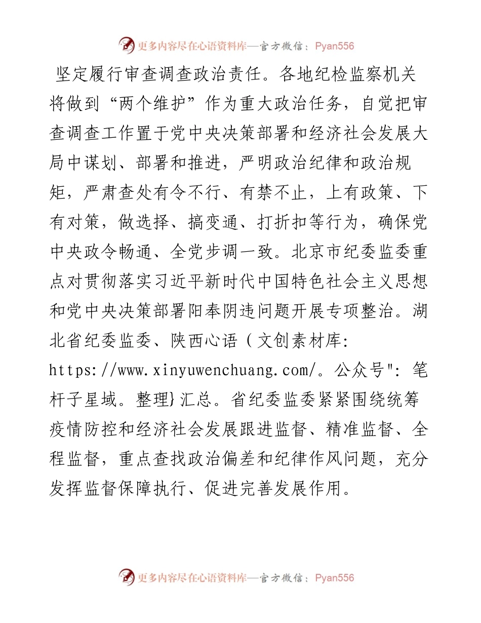 纪委监委及派驻纪检监察组关于依规依纪依法开展审查调查报告.docx_第2页