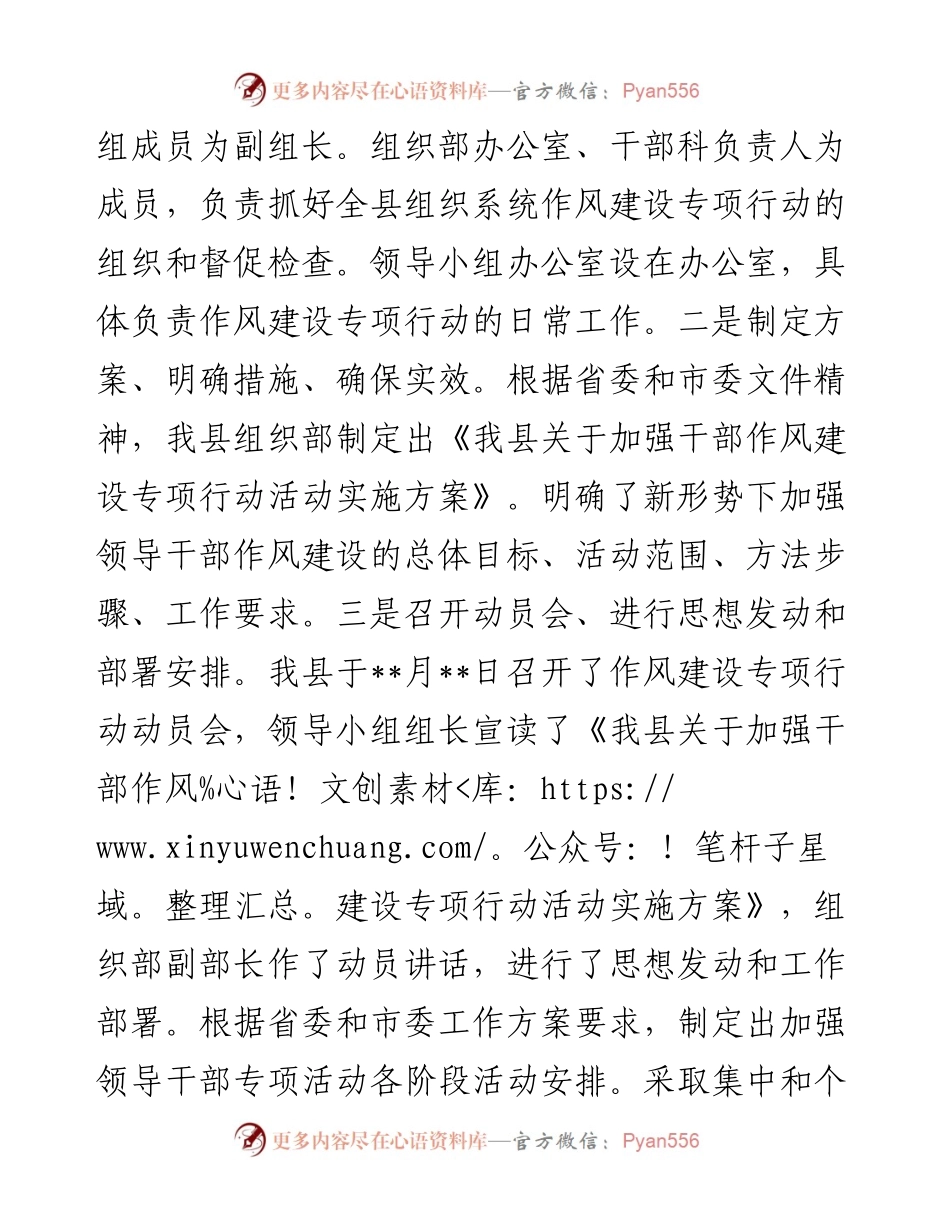 某县作风建设专项行动开展情况汇报.docx_第2页