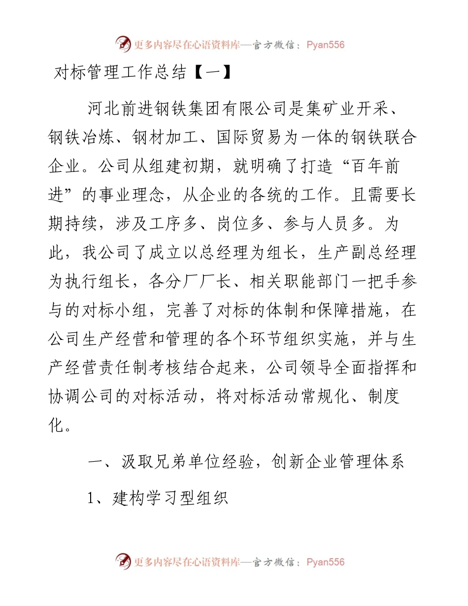 文汇系列3248--对标管理工作总结汇编.docx_第1页