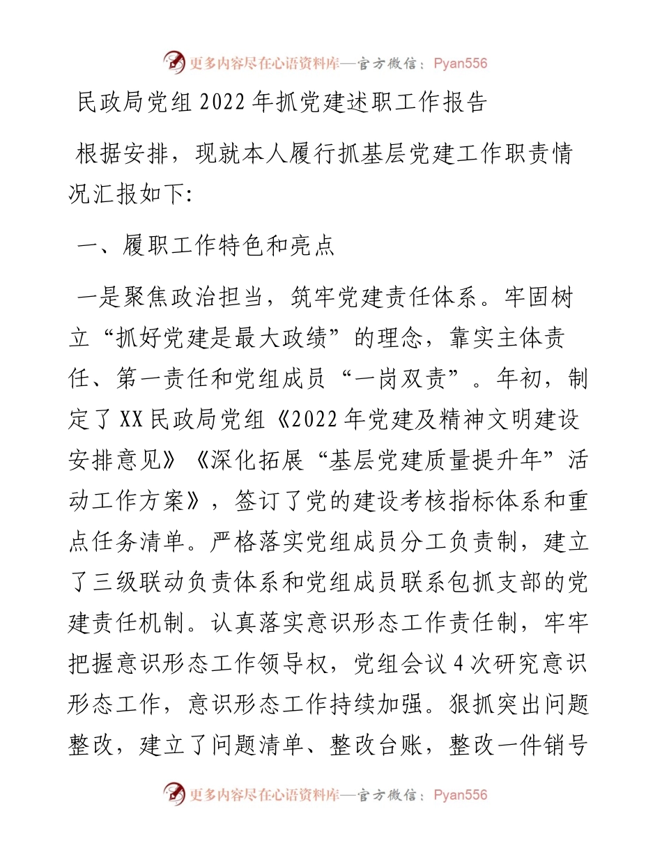 民政局党组抓党建述职工作报告.docx_第1页