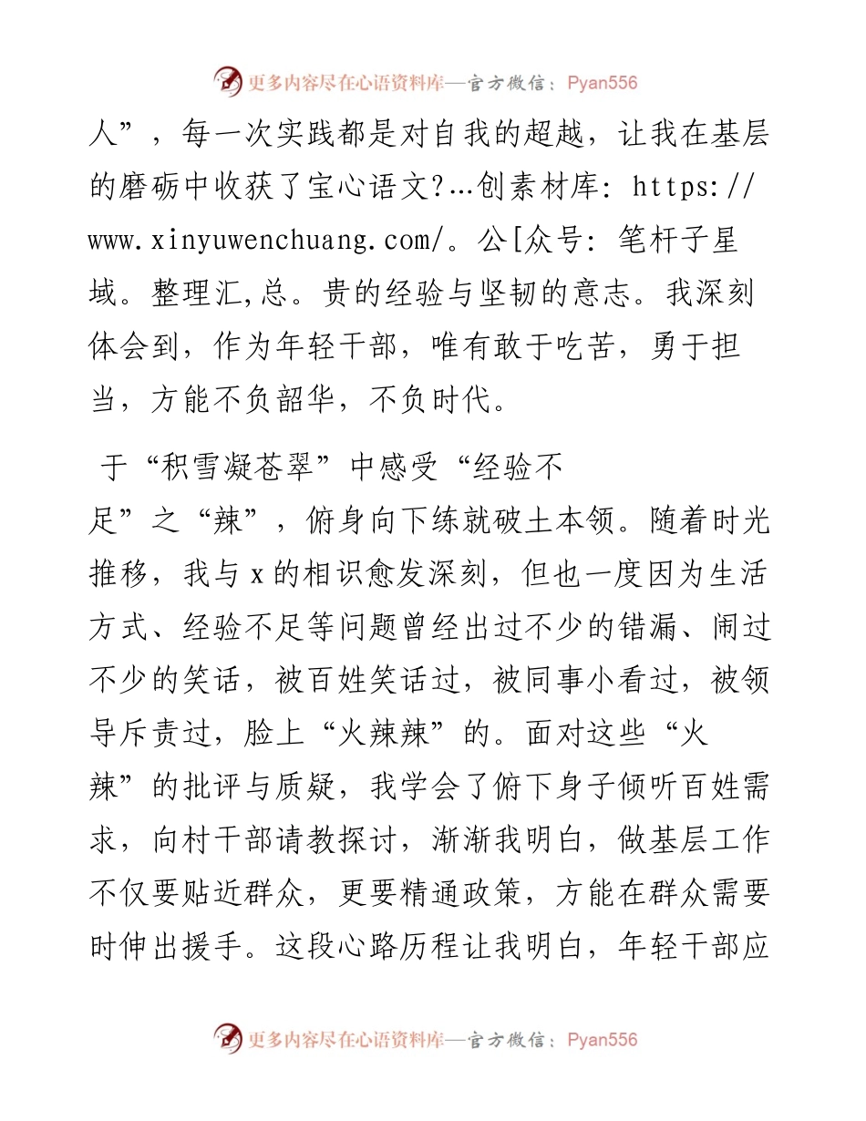 村党支部书记助理驻村工作心得感悟.docx_第2页