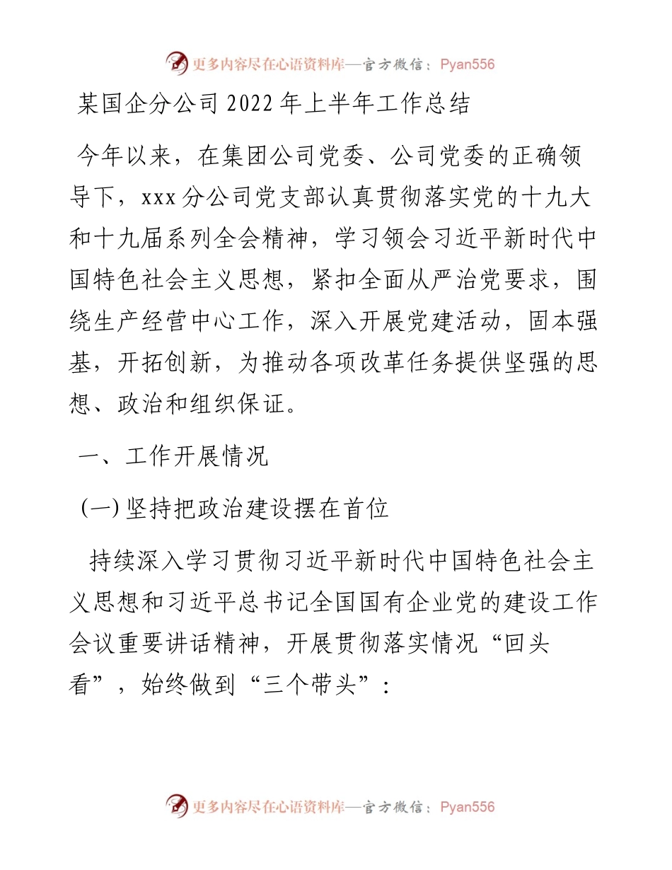 某国企分公司上半年工作总结.docx_第1页