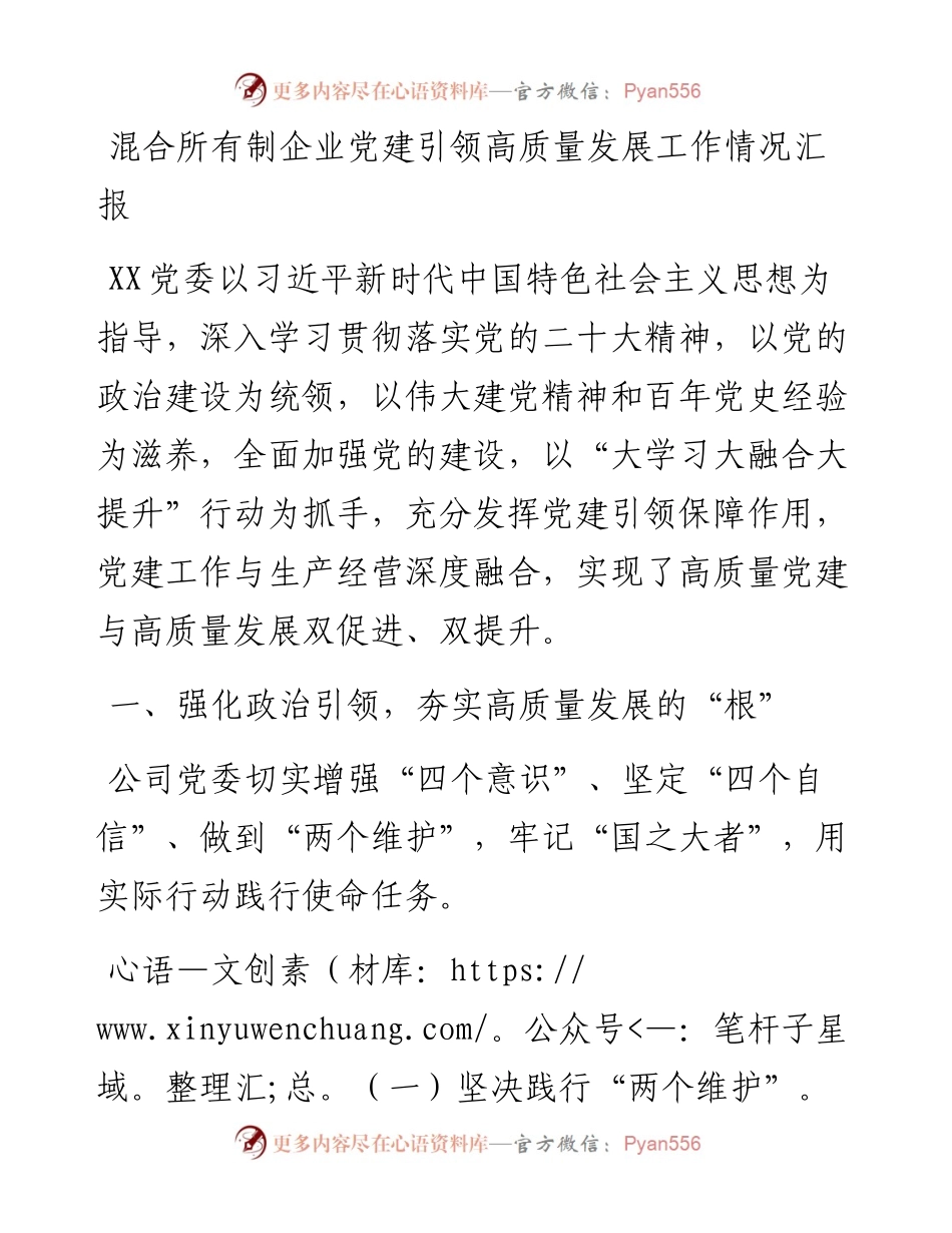混合所有制企业党建引领高质量发展工作情况汇报.docx_第1页