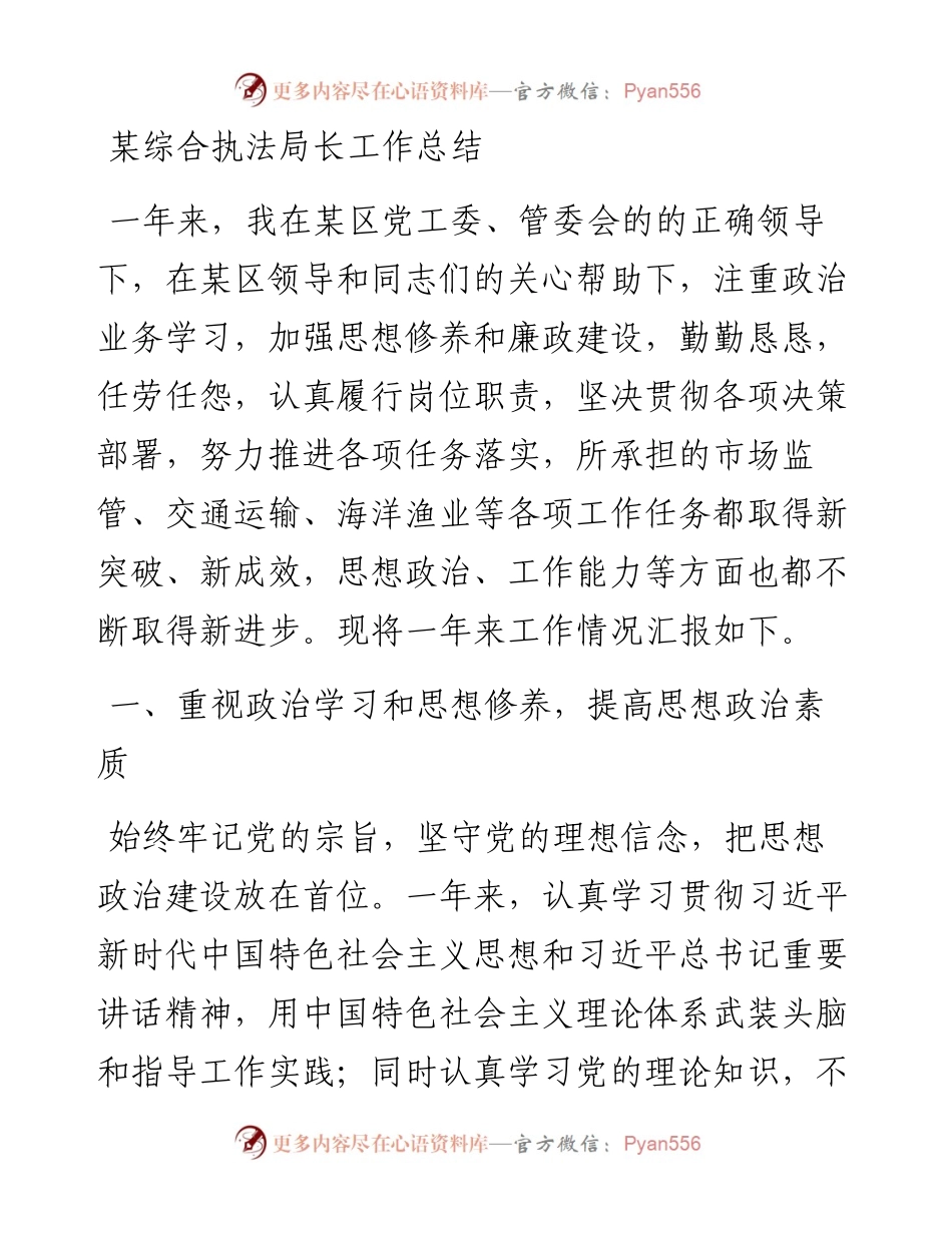 某综合执法局长工作总结.docx_第1页