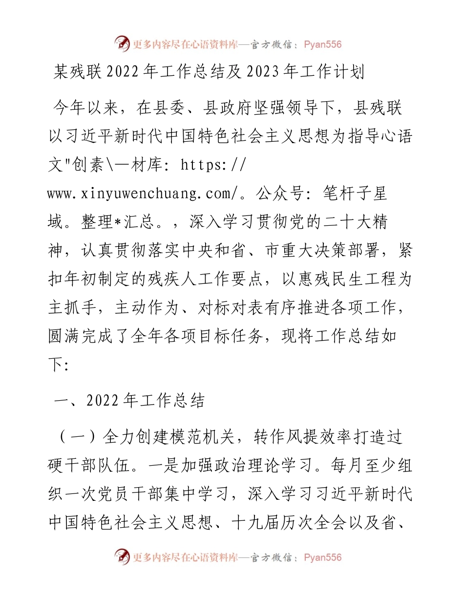 某残联工作总结及2023年工作计划(1).docx_第1页
