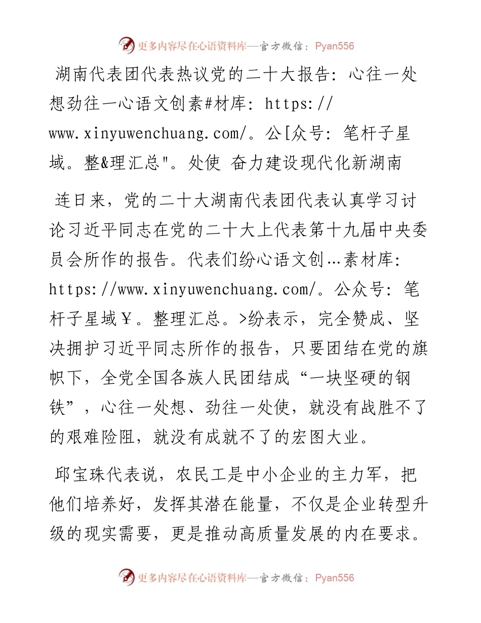湖南代表团代表热议党的二十大报告：心往一处想劲往一处使 奋力建设现代化新湖南）.docx_第1页