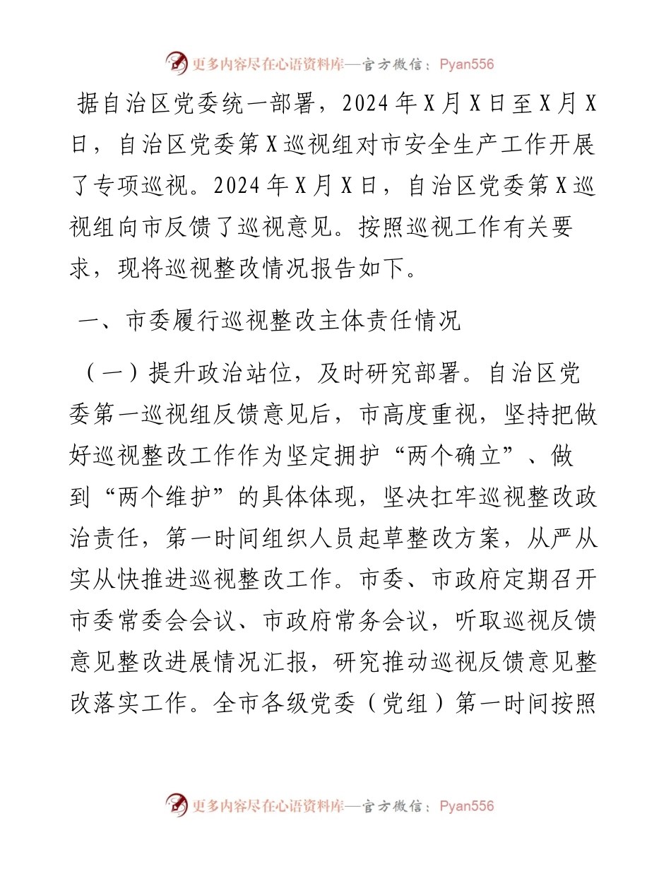 某市关于安全生产工作专项巡视整改进展情况的报告.docx_第1页