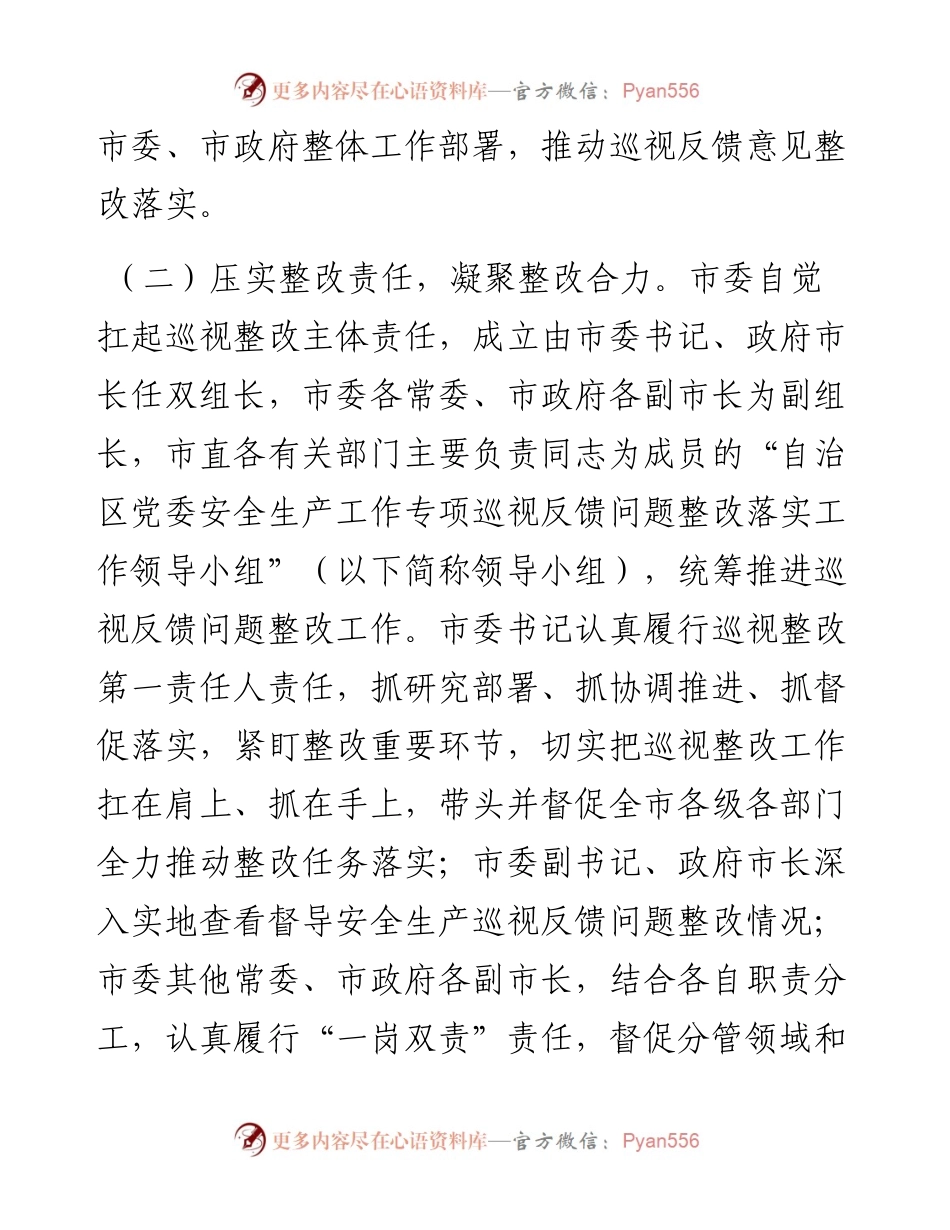 某市关于安全生产工作专项巡视整改进展情况的报告.docx_第2页