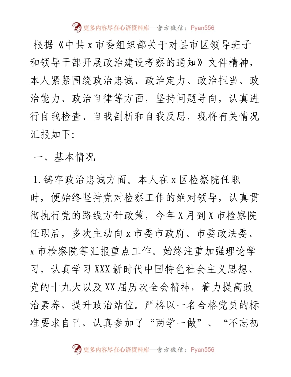 检察院检察长政治建设个人自查报告.docx_第1页