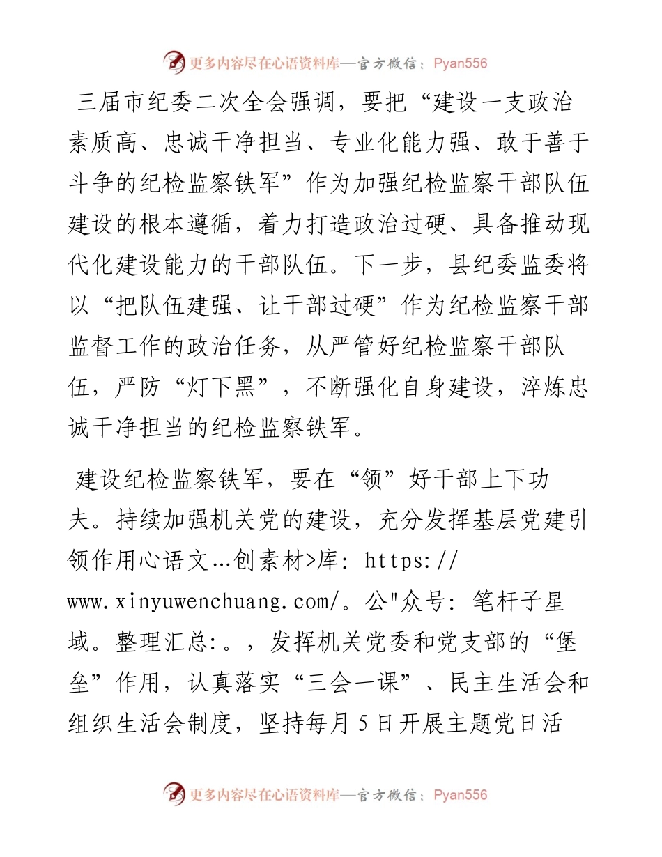 研讨发言：强化自我革命推动纪检监察队伍建设专业化规范化.docx_第1页