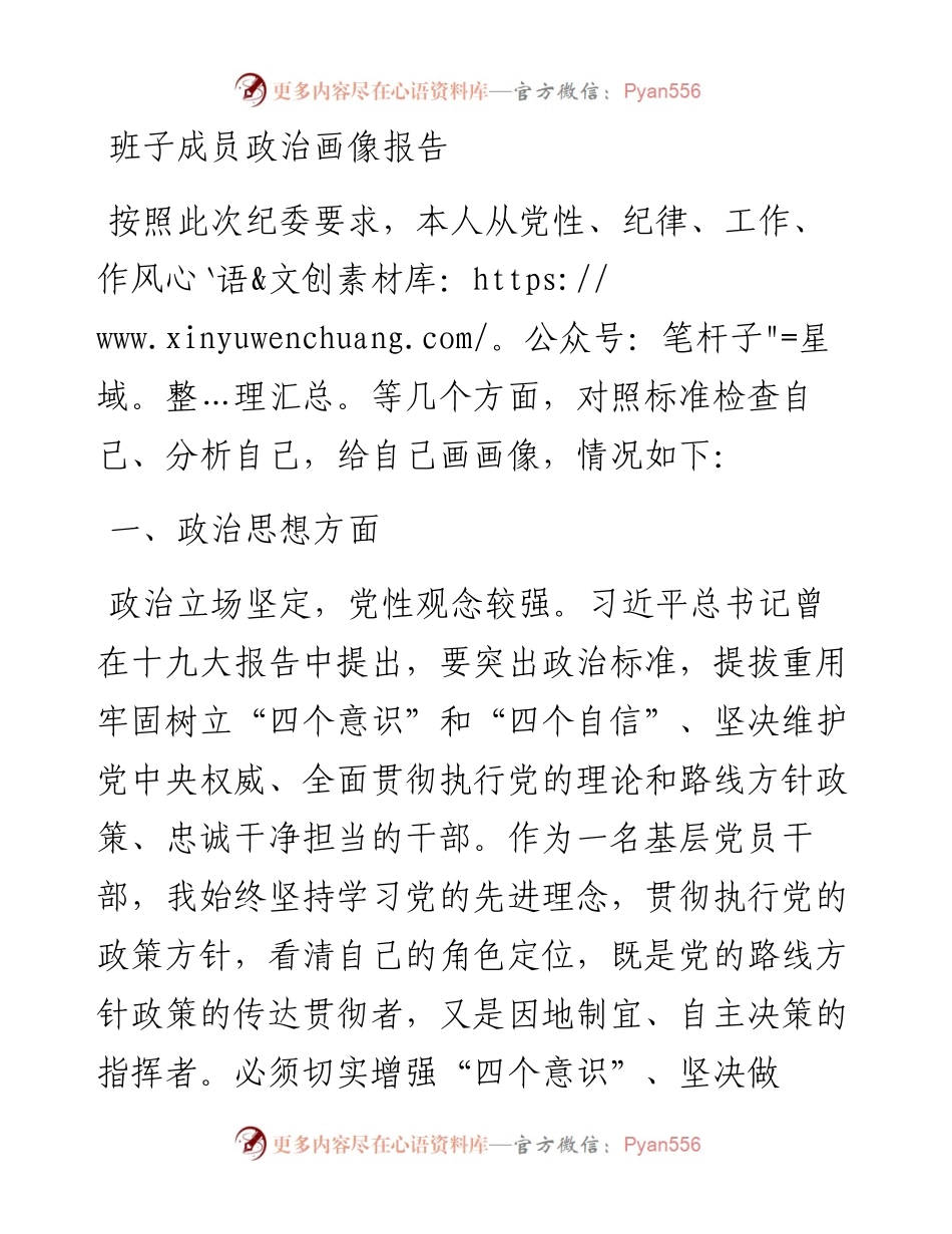 班子成员政治画像报告.docx_第1页