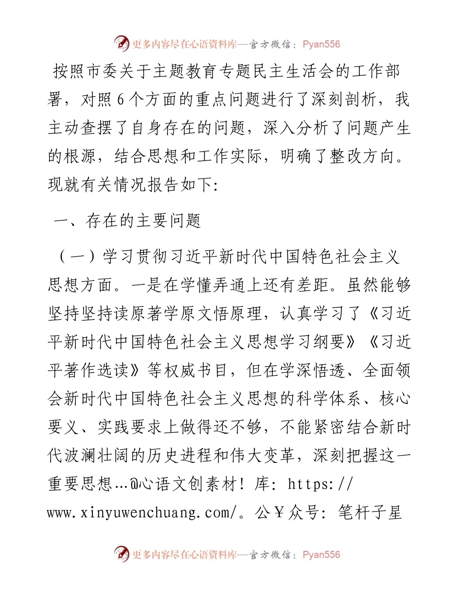 班子成员主题教育专题民主生活会对照检查发言材料.docx_第1页