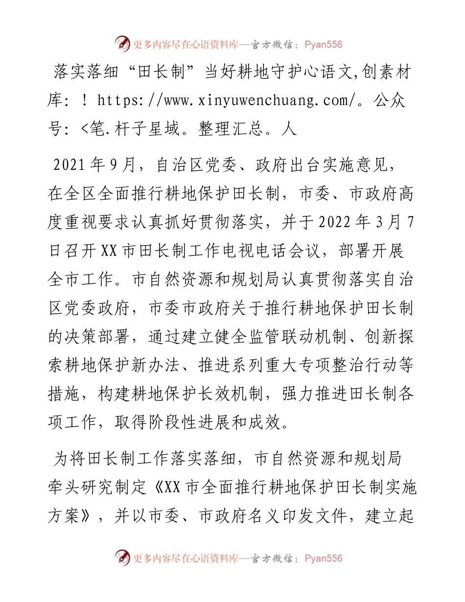 某市田长制工作汇报.docx_第1页