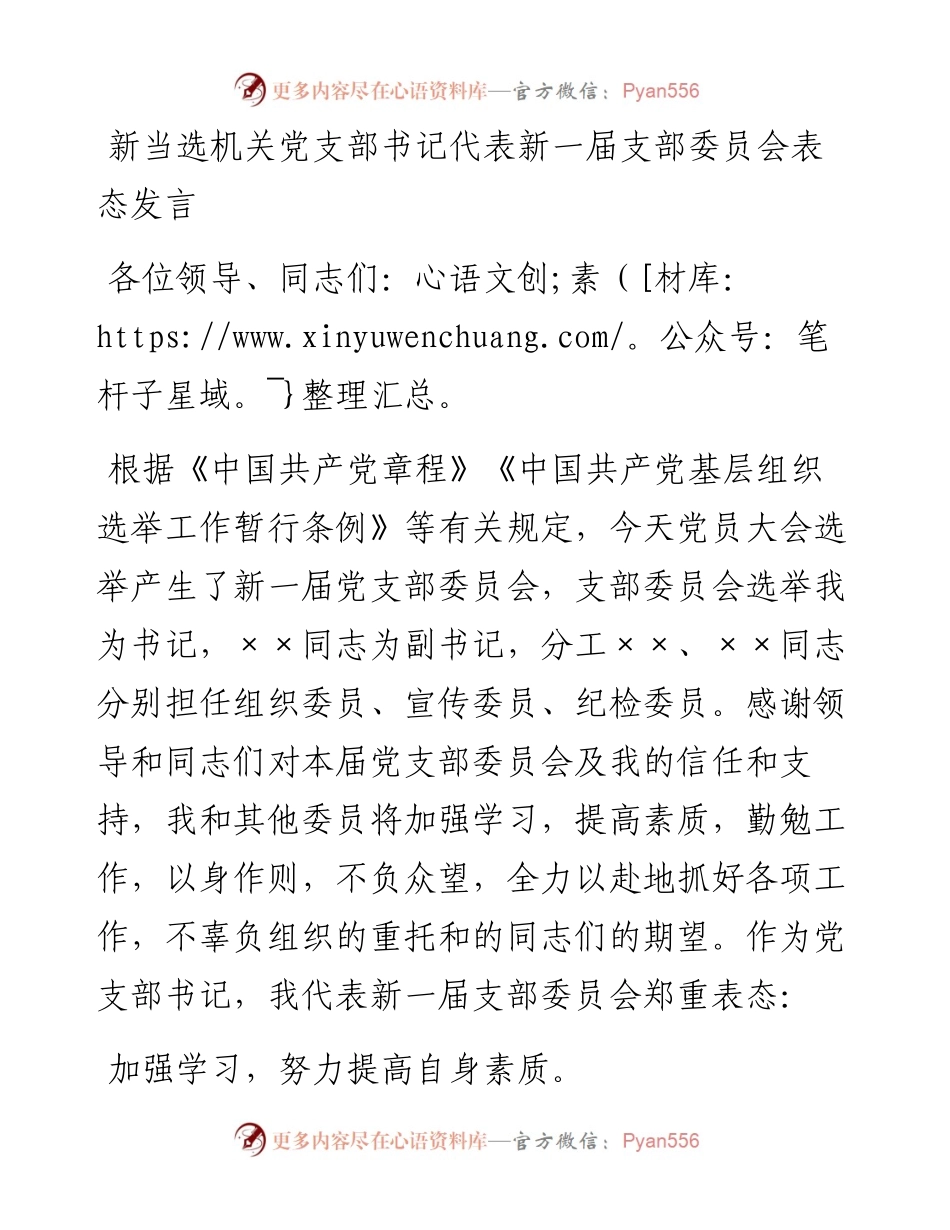 新当选机关党支部书记代表新一届支部委员会表态发言.docx_第1页