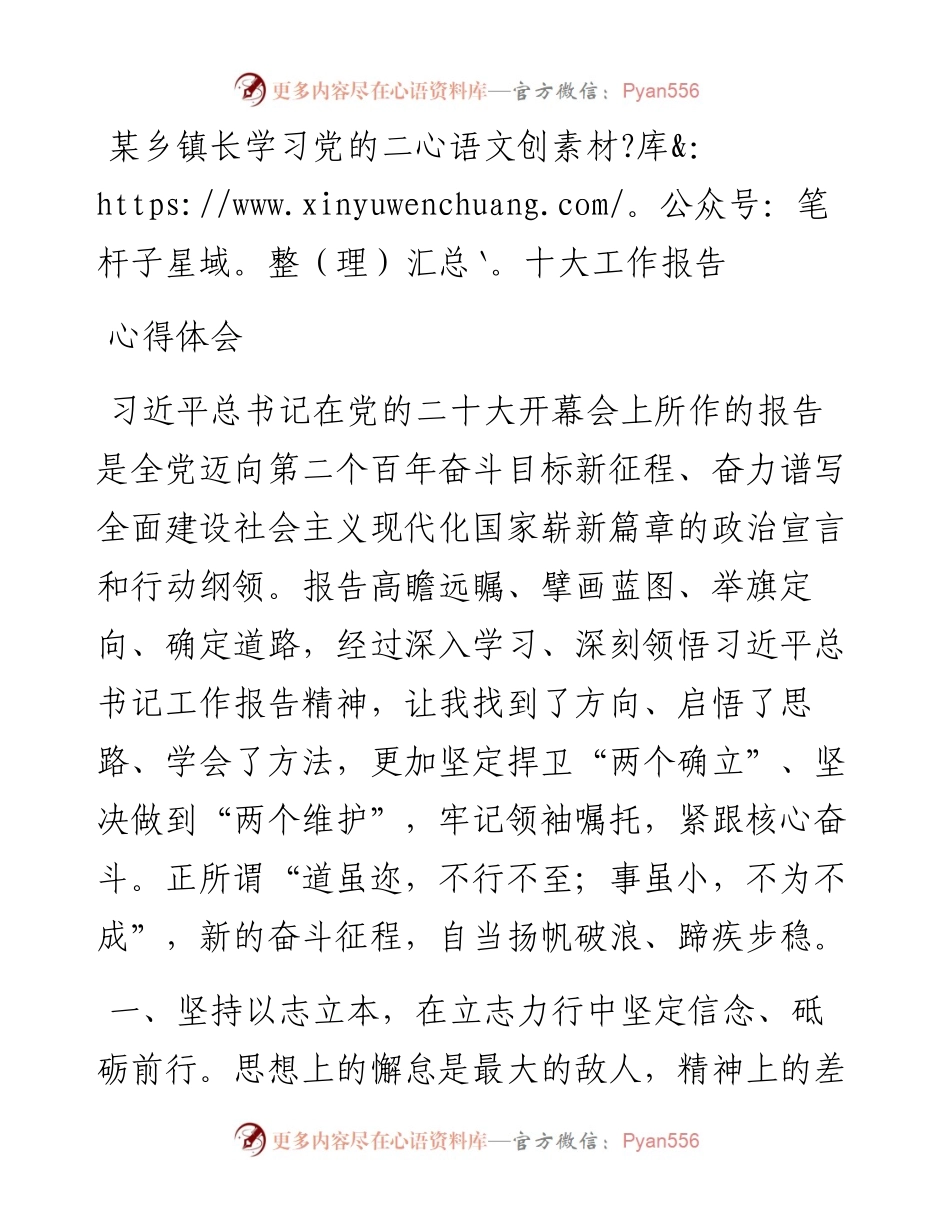 某乡镇长学习党的二十大工作报告心得体会.docx_第1页