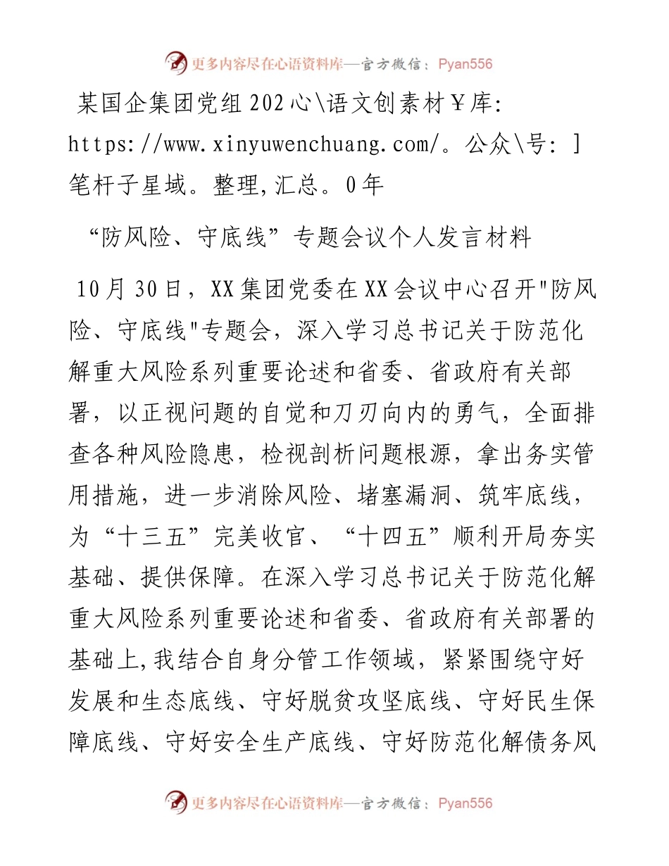 某国企集团党组防风险守底线专题会议个人发言材料(1).docx_第1页