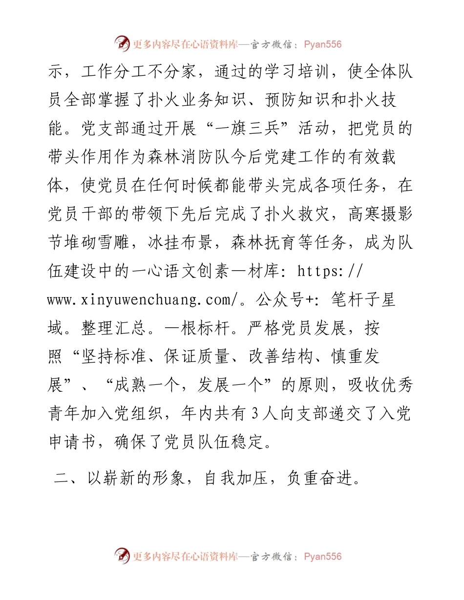 林业局森林消防队先进事迹材料.docx_第2页