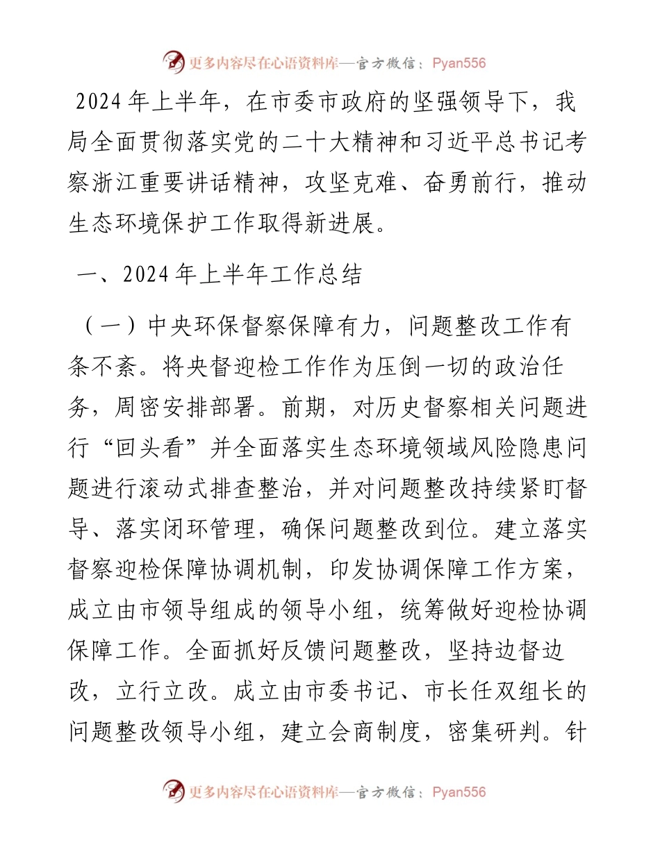 生态环境局分局2024年上半年工作总结及下半年工作思路.docx_第1页
