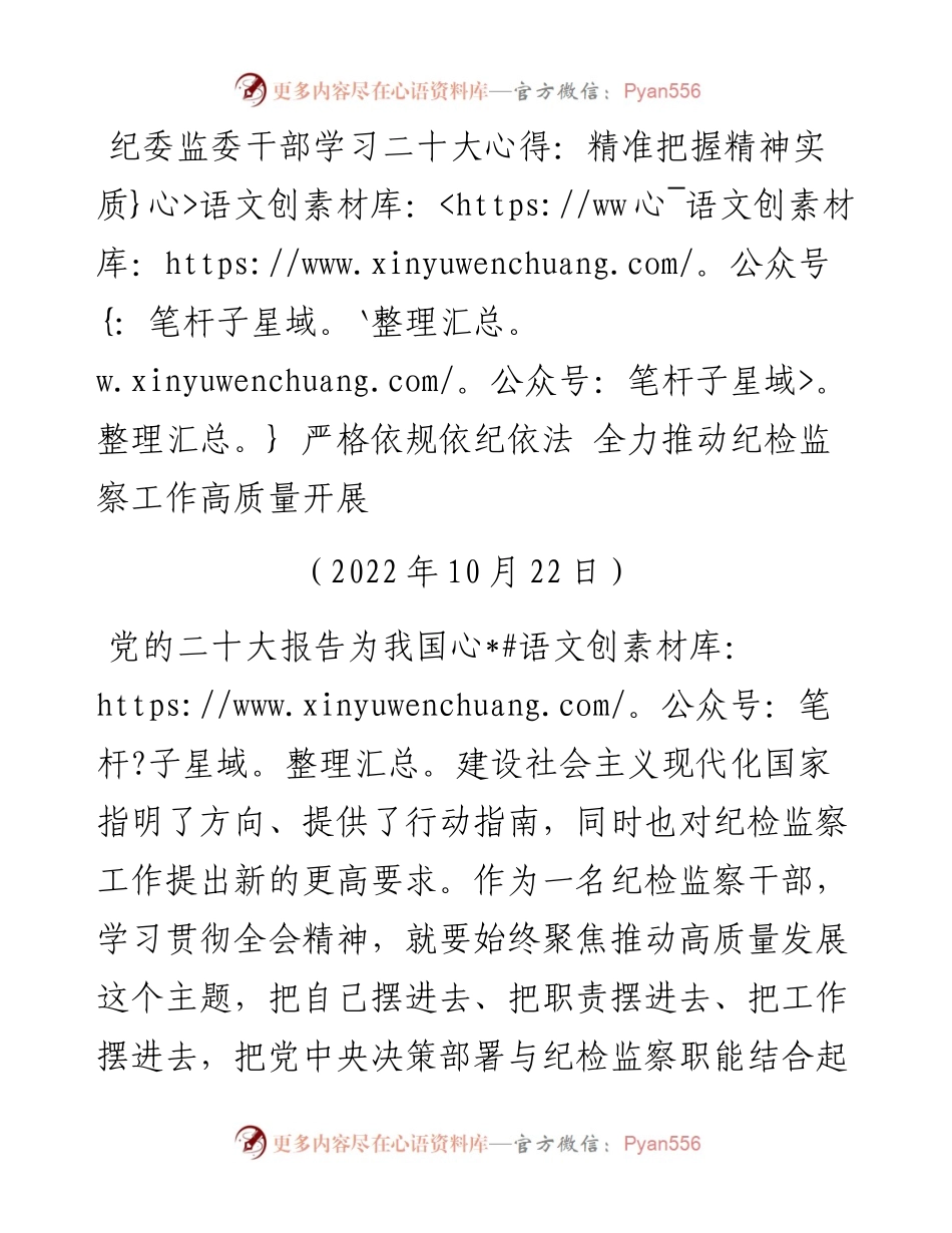 纪委监委干部二十大心得：精准把握精神实质 严格依规依纪依法 全力推动纪检监察工作高质量开展.docx_第1页