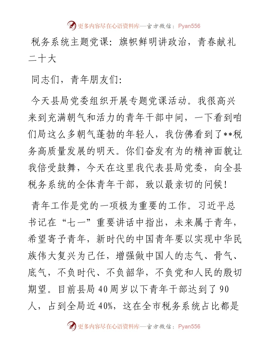 税务系统主题党课：旗帜鲜明讲政治，青春献礼二十大.docx_第1页