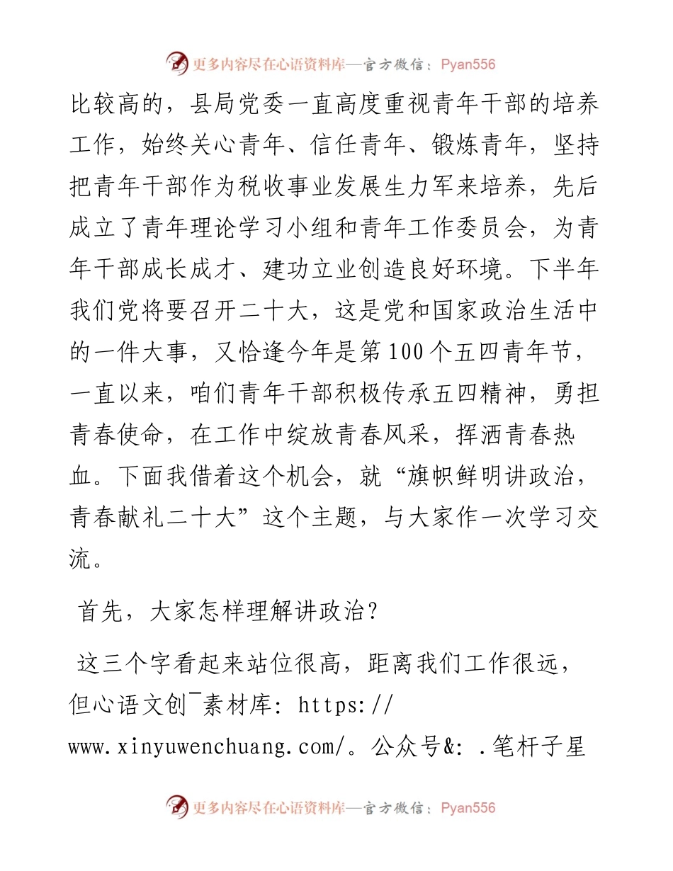 税务系统主题党课：旗帜鲜明讲政治，青春献礼二十大.docx_第2页