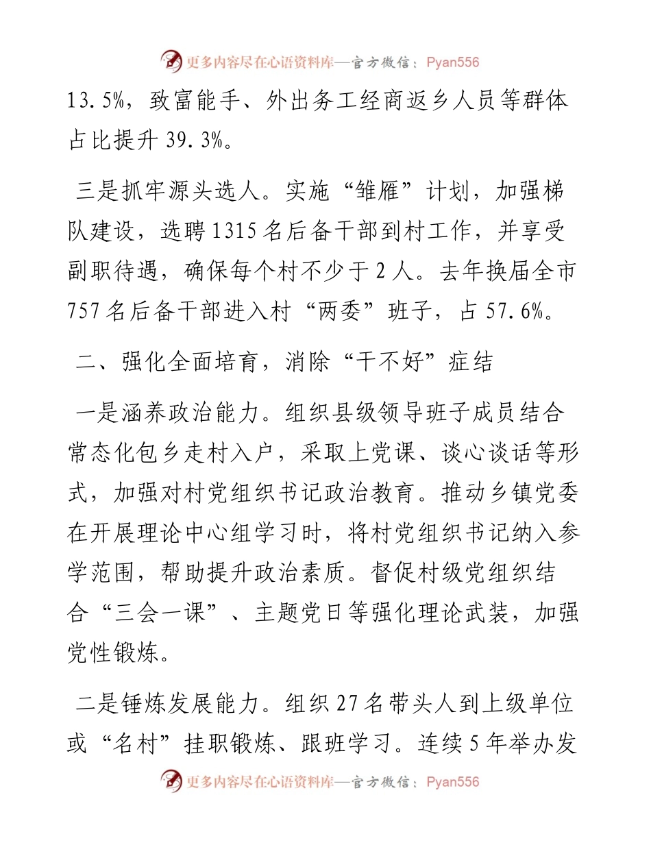 村党组织带头人队伍建设经验材料.docx_第2页