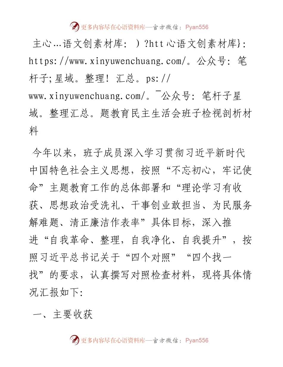 民主生活会班子检视剖析材料.docx_第1页