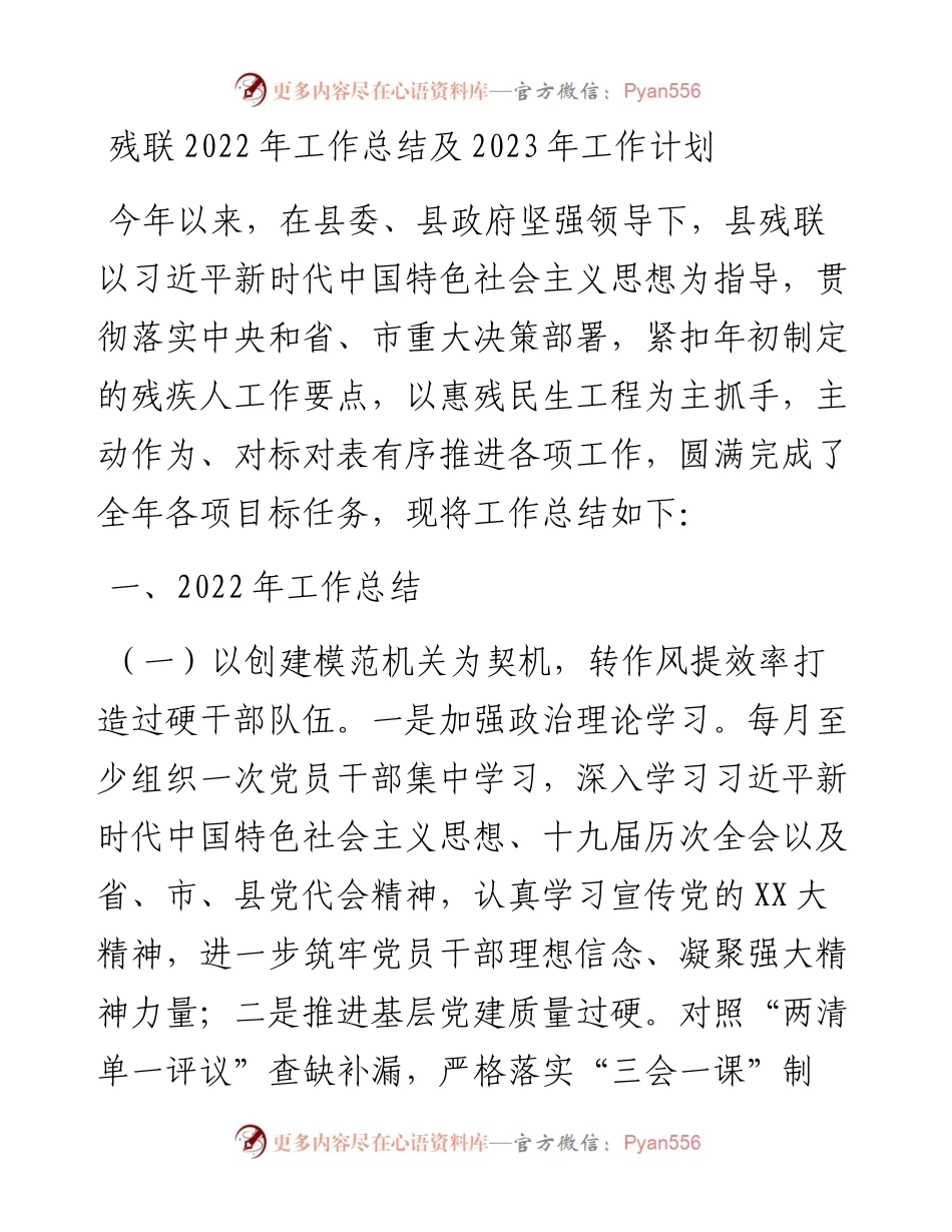 残联工作总结及2023年工作计划.docx_第1页