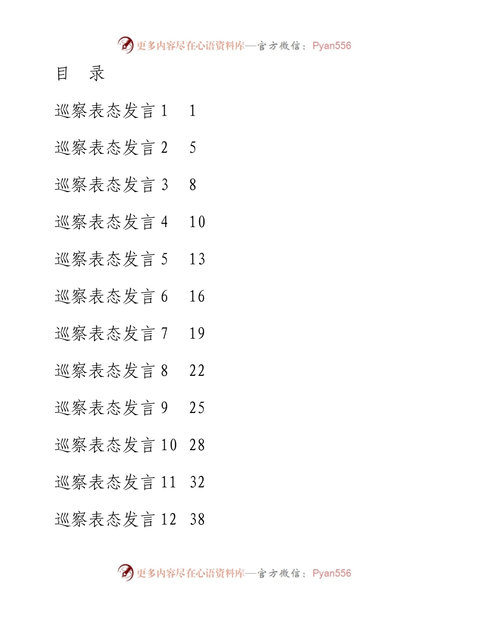 文汇系列4585--巡察表态发言汇编（17篇）.docx_第1页